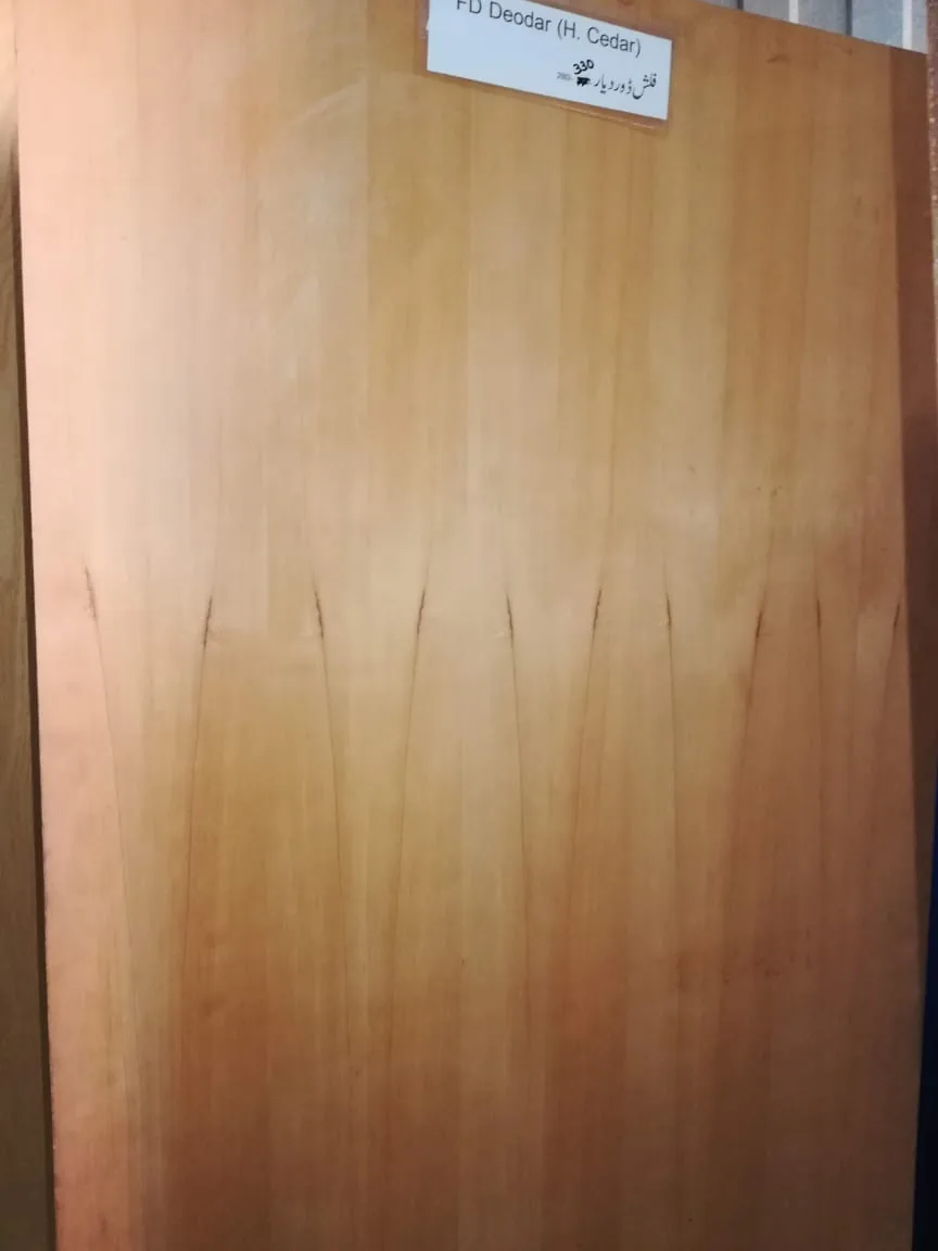 Custom Door Design 39 - Feel Good custom door