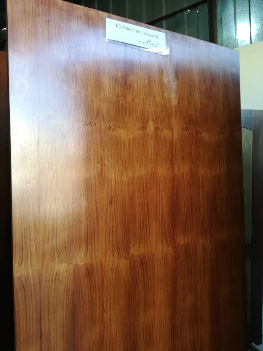 Custom Door Design 50 - Feel Good custom door