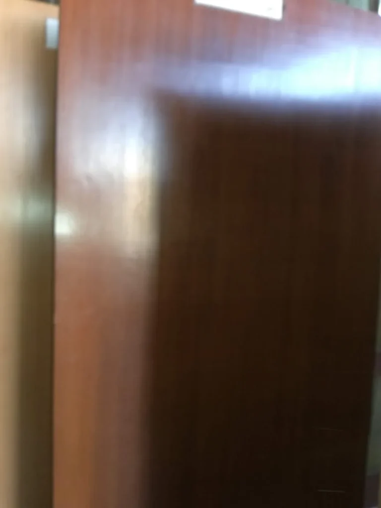 Custom Door Design 8